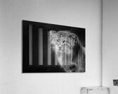 A Symphony of Grace and Charm Acrylic Print