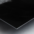 A Symphony of Grace and Charm Metal print