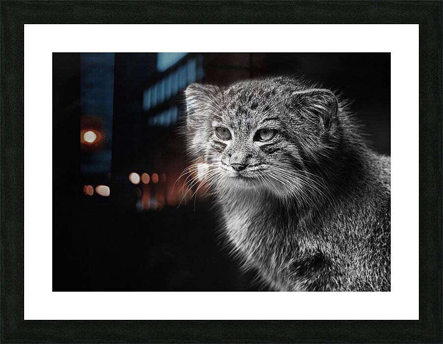 A Symphony of Grace and Charm Picture Frame print