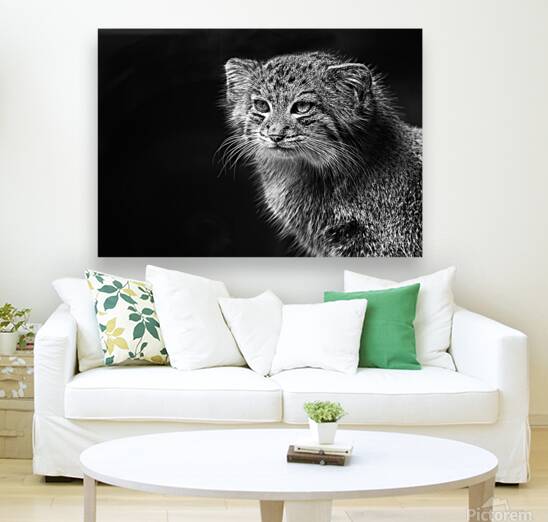 A Symphony of Grace and Charm Reproduction