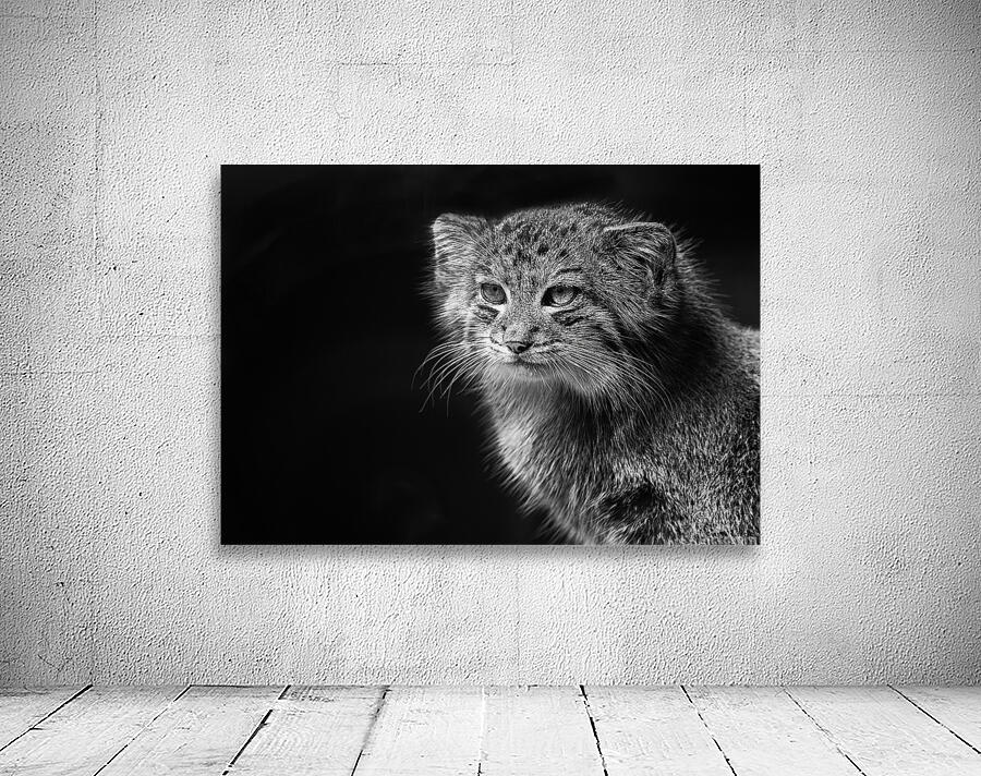 A Symphony of Grace and Charm Wall Preview