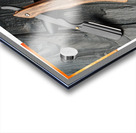 013 027 Acrylic print