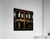 009 008 Acrylic Print