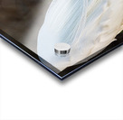 Snowy Egret Silhouette  Acrylic print