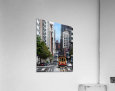 San Francisco City Scene Acrylic Print
