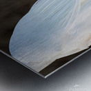 Snowy Egret Silhouette  Metal print