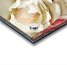 Bountiful Love 2 Acrylic print