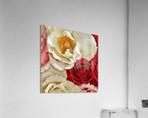 Bountiful Love 2 Acrylic Print