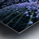 Rainy Day Salsify Metal print