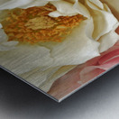 Bountiful Love 2 Metal print