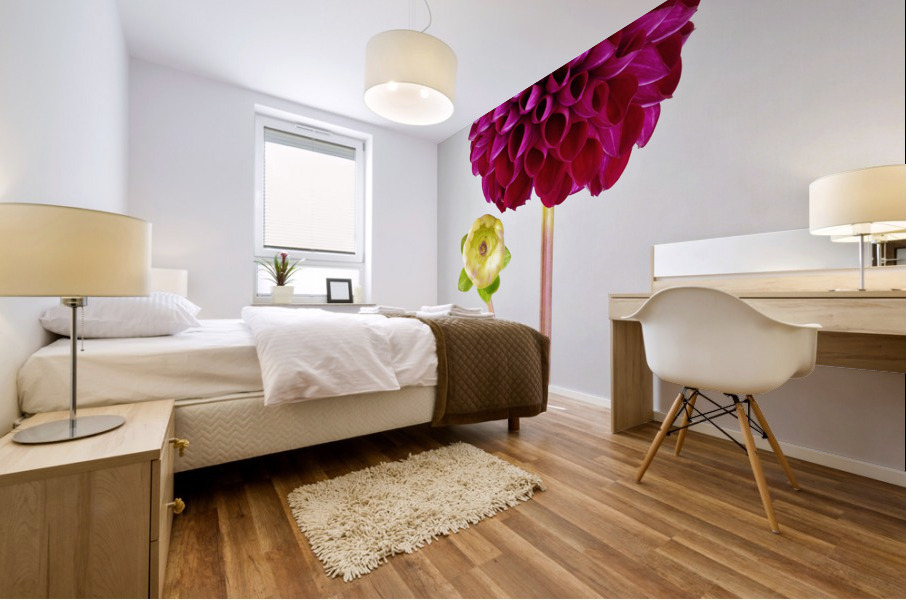 Beautifully Dahlia Mural print