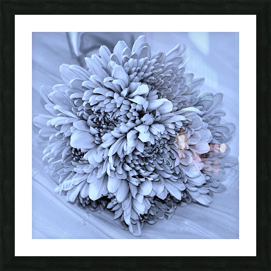 Devotion Picture Frame print