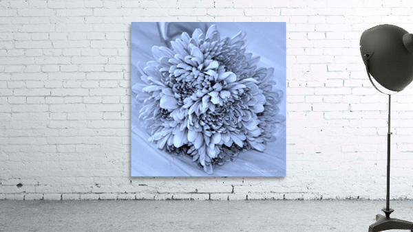 Devotion Wall Preview