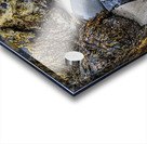 Seaweed & Ocean Air Acrylic print