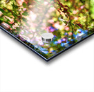 Autumn Dream Acrylic print