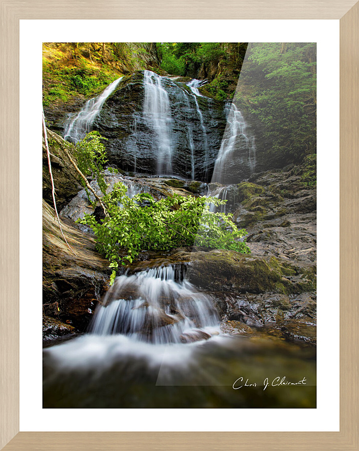 Moss Glen Stowe Vermont Summer  Picture Frame print