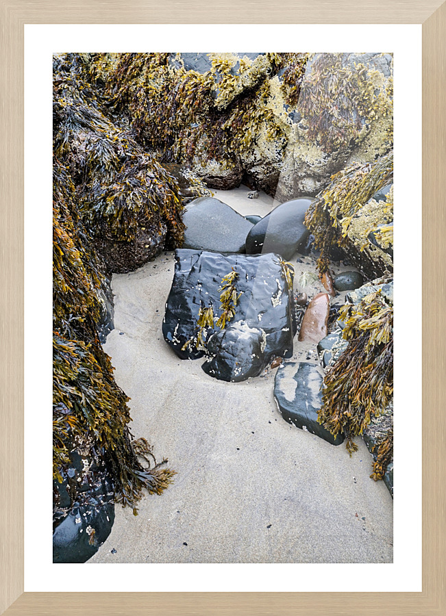 Shape Picture Frame print