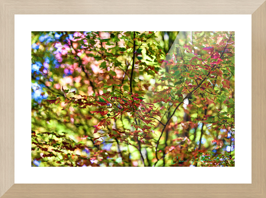 Autumn Dream Picture Frame print