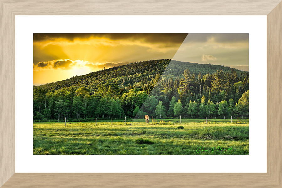  Fine Art print