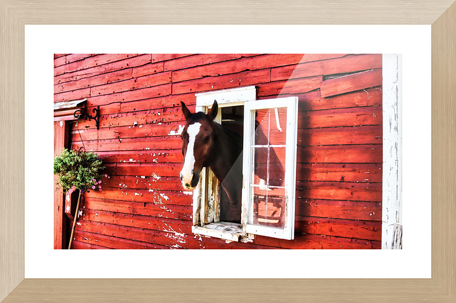  Fine Art print