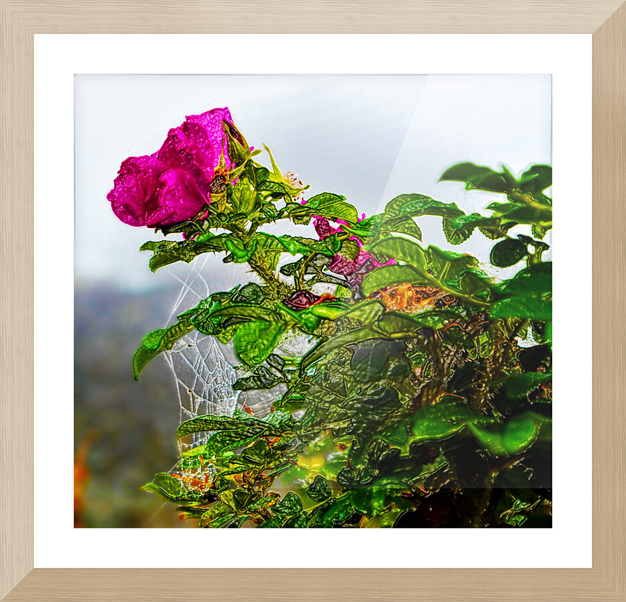  Fine Art print