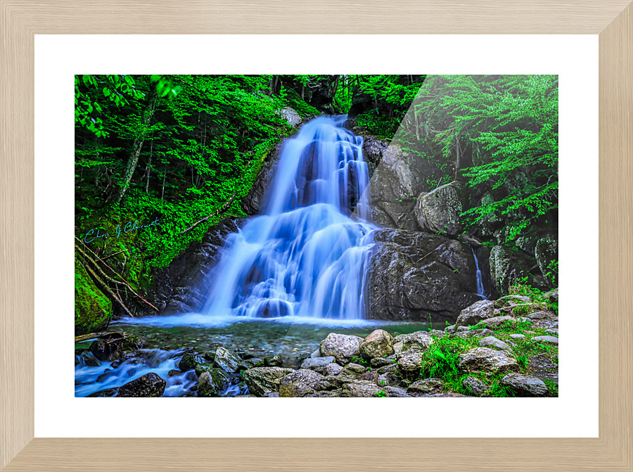  Fine Art print