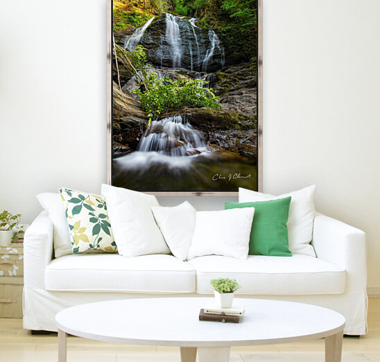 Moss Glen Stowe Vermont Summer  Reproduction