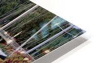 Boathouse HD Metal print