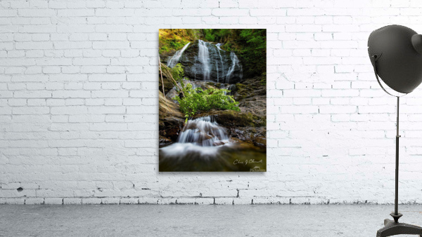 Moss Glen Stowe Vermont Summer  Wall Preview