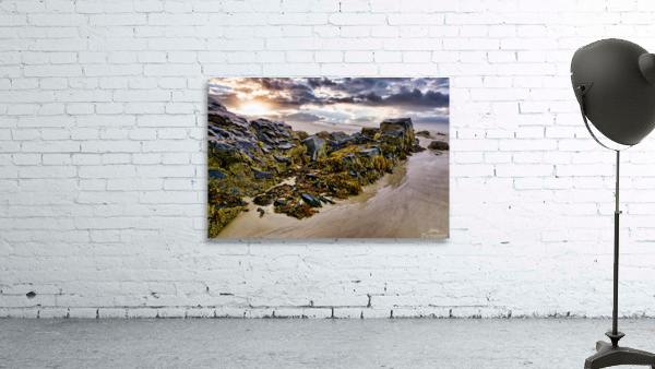 Rebirth of the Soul at Ogunquit Maine  Wall Preview