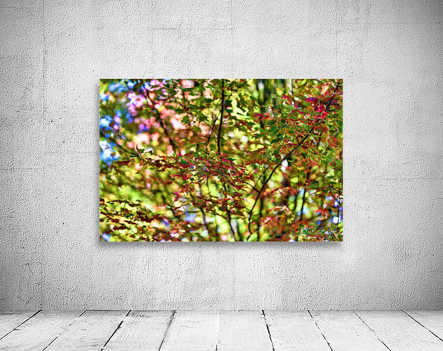 Autumn Dream Wall Preview