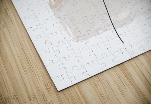Line Flower Art Balaram Giri puzzle