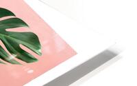 Monstera Leaf Art  HD Metal print