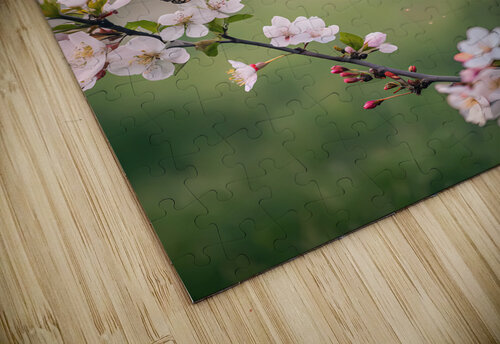 Spring Butterflies Stylish  ClikChik puzzle