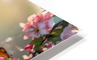 Spring Butterflies Stylish  HD Metal print