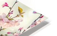 Spring Butterflies Stylish  HD Metal print