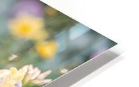 Spring Butterflies Stylish  HD Metal print