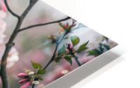 Spring Butterflies Stylish  HD Metal print