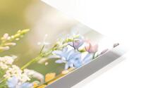 Spring Butterflies Stylish  HD Metal print