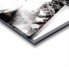 V1060 Acrylic print