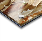 V1063 Acrylic print