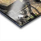 V1074 Acrylic print