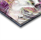 V1076 Acrylic print