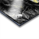 V1084 Acrylic print