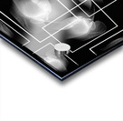 V1100 Acrylic print