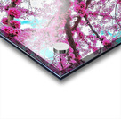 V1106 Acrylic print