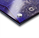 V1107 Acrylic print