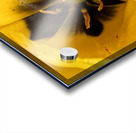 V1118 Acrylic print
