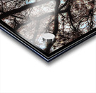 V1125 Acrylic print