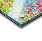 V1144 Acrylic print